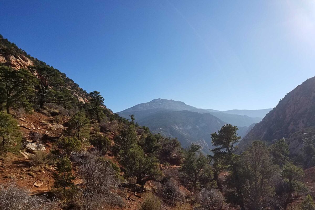 Summit Agate Rockhounds Anonymous